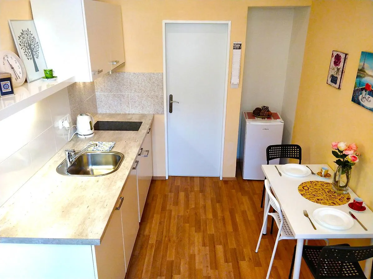 Lidicka Apartment Prague