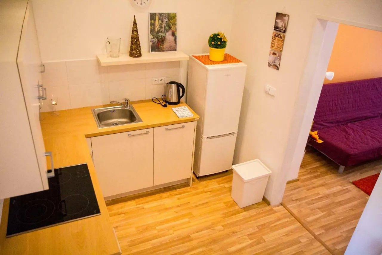 Lidicka Apartment Prague