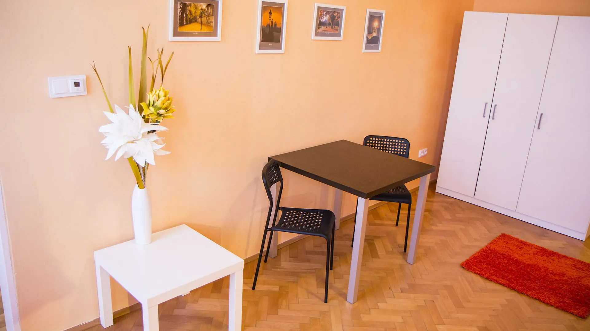 Lidicka Apartment Prague 0*,