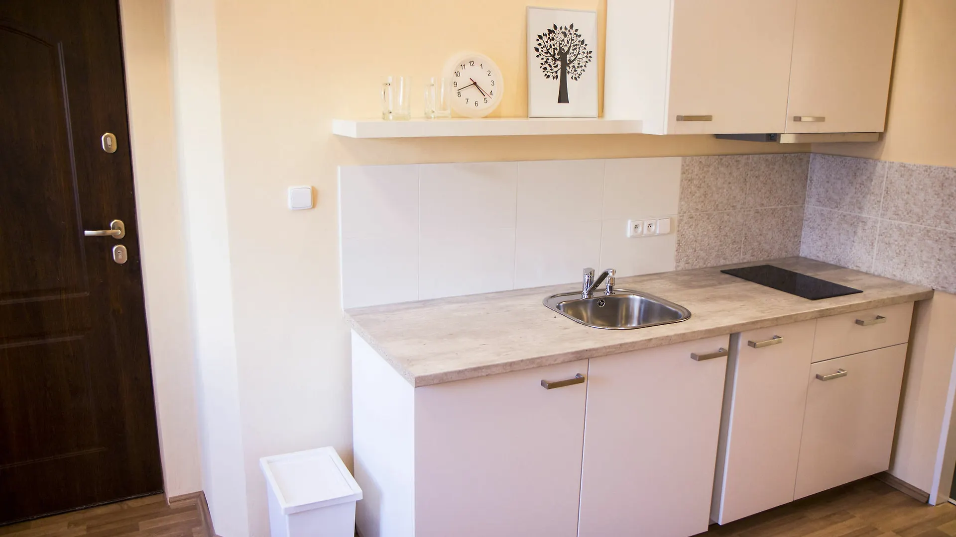 פראג Lidicka Apartment